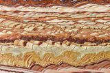 Polished Slab Of Rolling Hills Dolomite - Mexico #167440-1